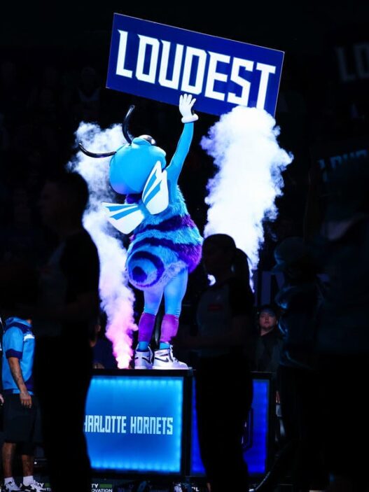 Hornets apologize after pretending to give PS5 to young fan