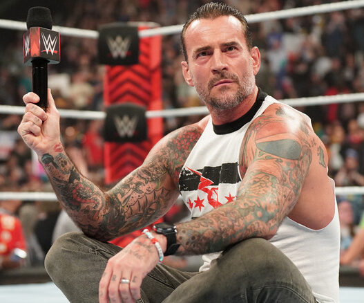 Bully Ray criticizes WWEs creation for CM Punk since Survivor