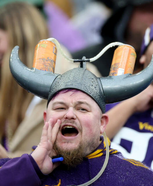 Vikings spend nearly 2 million on tickets at Detroits Ford