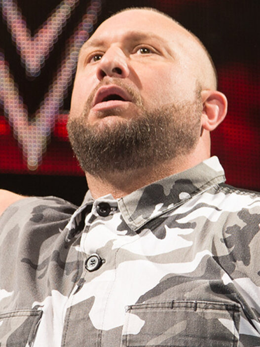 Bully Ray discusses fans of Raw Emotion SAW of this