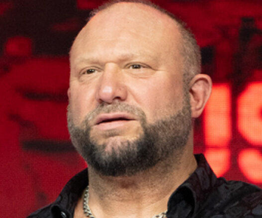 Bully Ray said he would put all the belts on