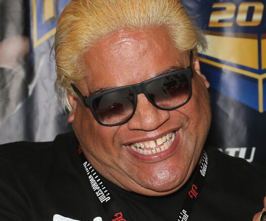 Rikishi thinks there are too many wrestling schools