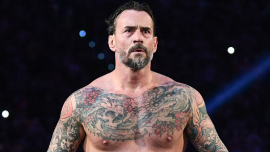 The plans of WWE Wrestlemania for Roman Reigns CM Punk