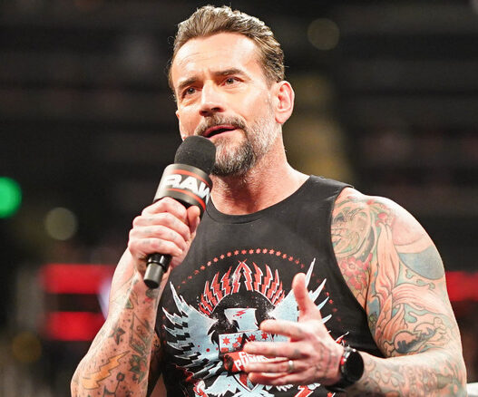 WWE punk cm discusses if it is interested in working